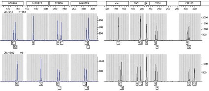 Fig. 1: Intraspecies identification of two unique human cell lines, K-562 and...