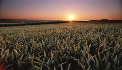 Photo: Eastern Europe Offers Growth Pockets for Automation Vendors