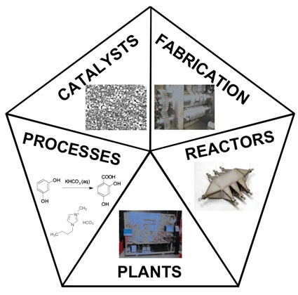 Five prime development issues for future intensified processing and plants.