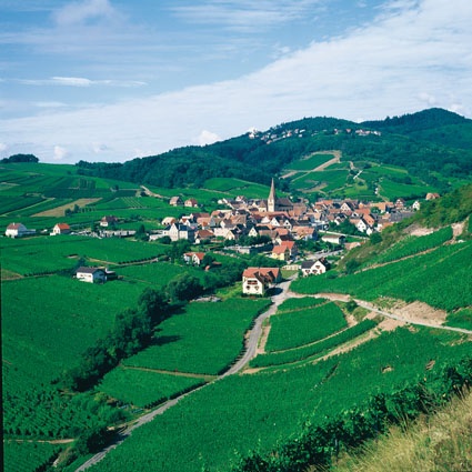 The Alsace region, an exceptional quality of life. © Dumoulin / Région Alsace