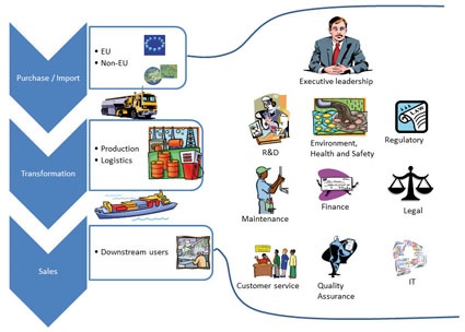 Communication partners in Reach Compliance