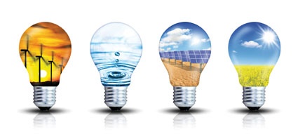 Biomass is also widely used in other sectors, such as food production, animal...