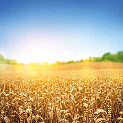 © James Thew - Fotolia.com