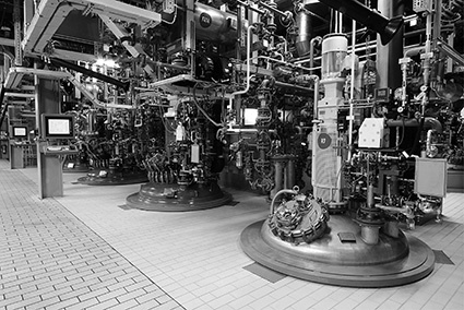 Reactor trains 4 and 5, multipurpose plant 10, 2010