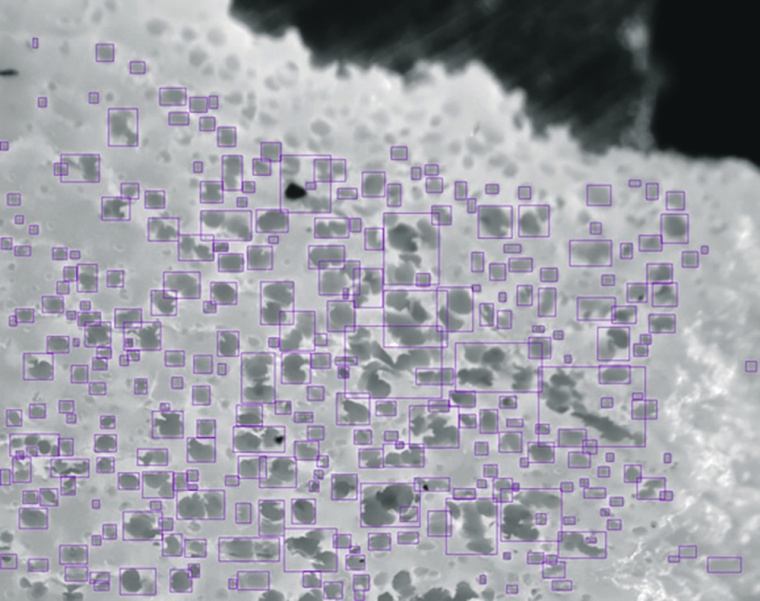 found pores are marked in purple.© Strelen GmbH