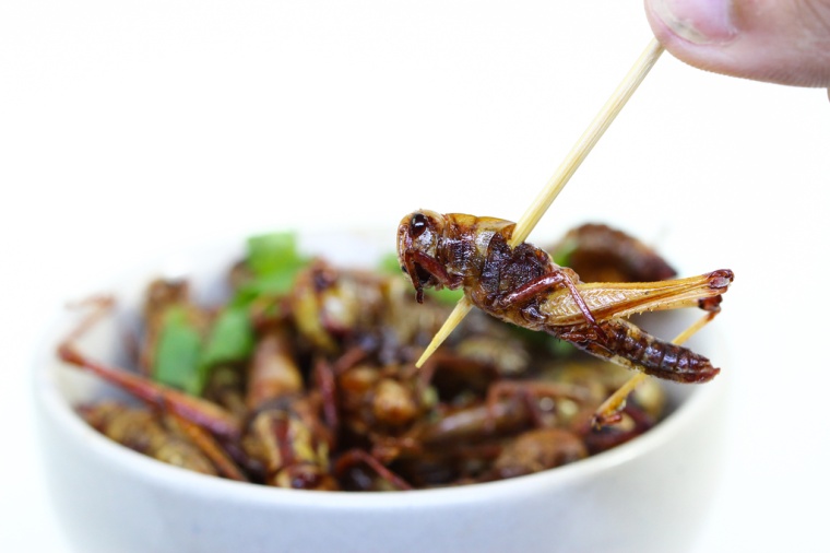 Insect cells have unique properties that may contribute to relatively more...