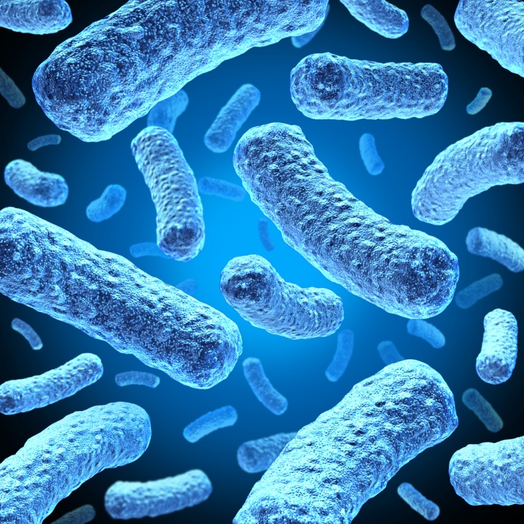 Numaferm’s innovative platform technology enables the biosynthesis of...
