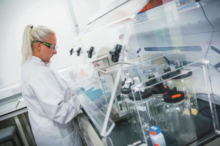 Bachem (UK) Ltd., Bachem’s Center of Excellence in production of Research...