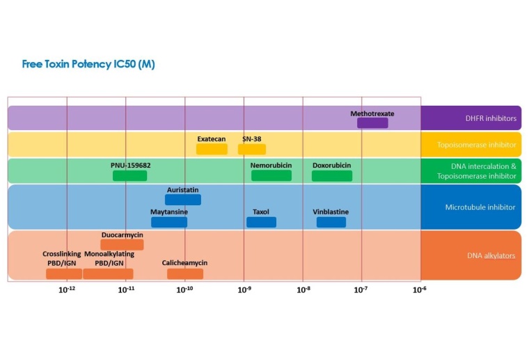 Fig: 3: Overview of ADC Payload toxins, with some chemotherapies as reference....