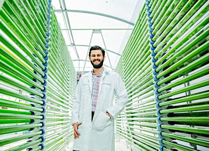 Leopoldo Herrera (founder & director) between photobioreactors © Neptunus...