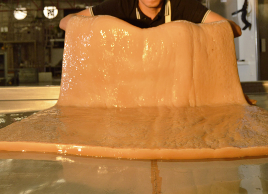 Celium, the revolutionary product by Polybion, is produced out of processed...