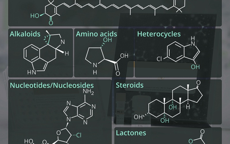 Potential products from the Aminoverse off-the-shelf enzyme kits to facilitate...