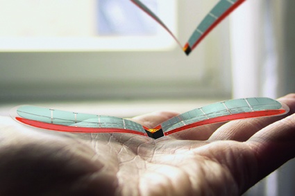 „Little Wings von Felix Kraemer