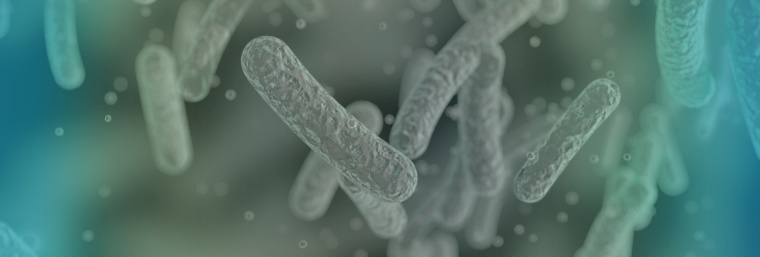 BluCon Cell Factories