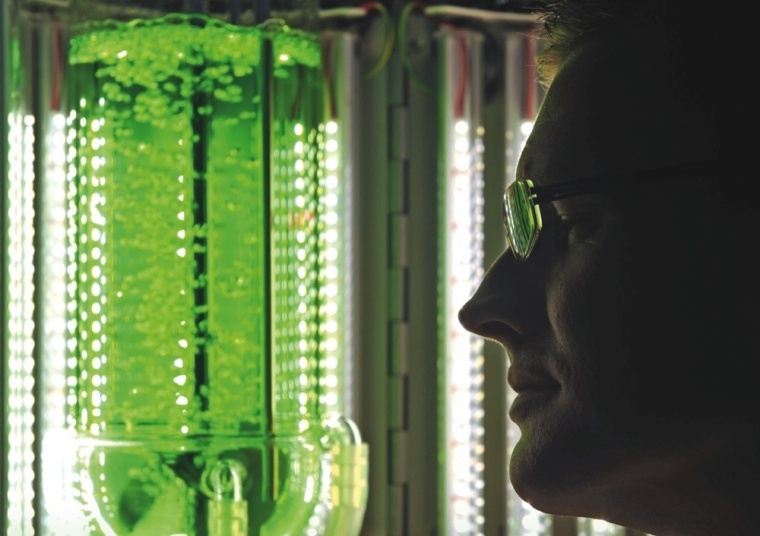 Biotechnica 2013: Personalisierte Medizintechnologien