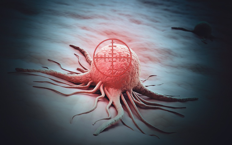 © Mopic - Fotolia.com