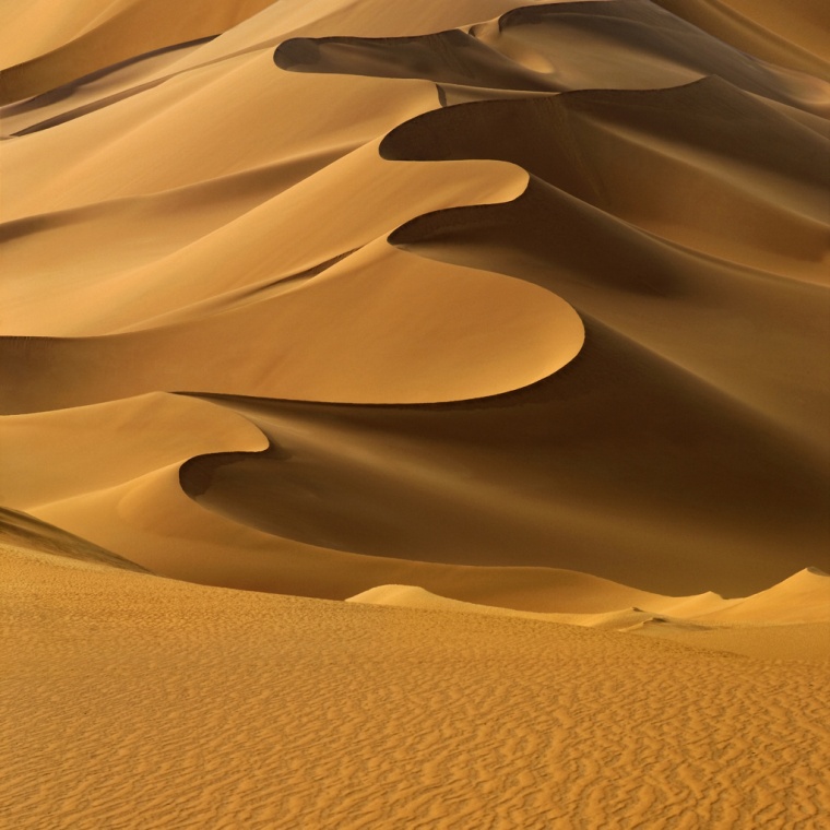 © Shutterstock/Getty Immages