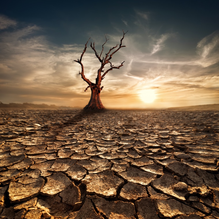 Auswirkungen des Klimawandels auf Unternehmen
