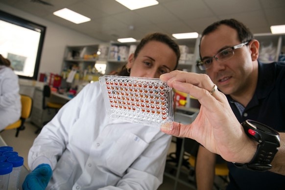 Wissenschaftler im Ukko-Labor in Israel analysieren Erdnuss-Proteine. Foto:...