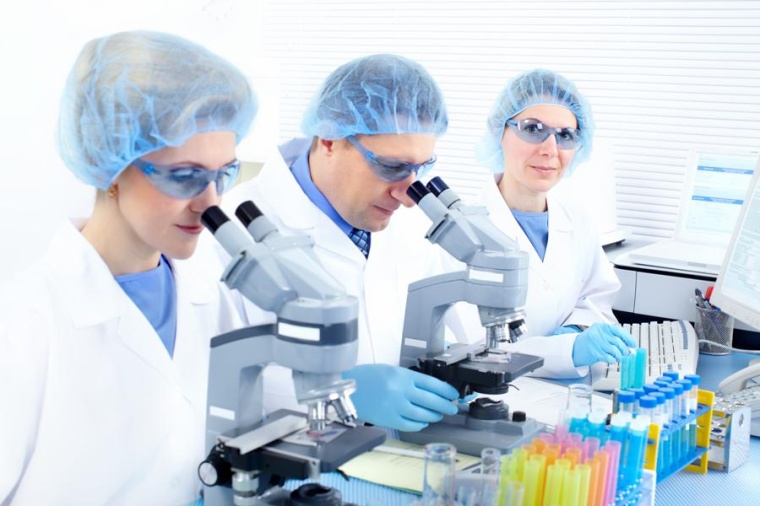 Foto: Shutterstock 68093830