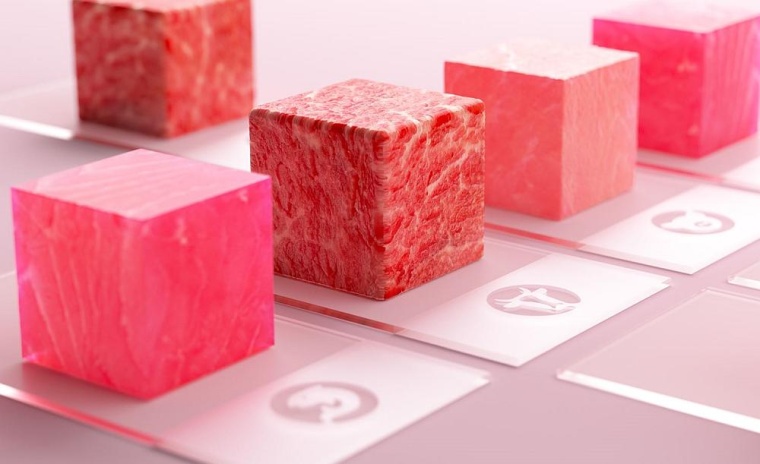 Kultiviertes Fleisch. Foto: Merck