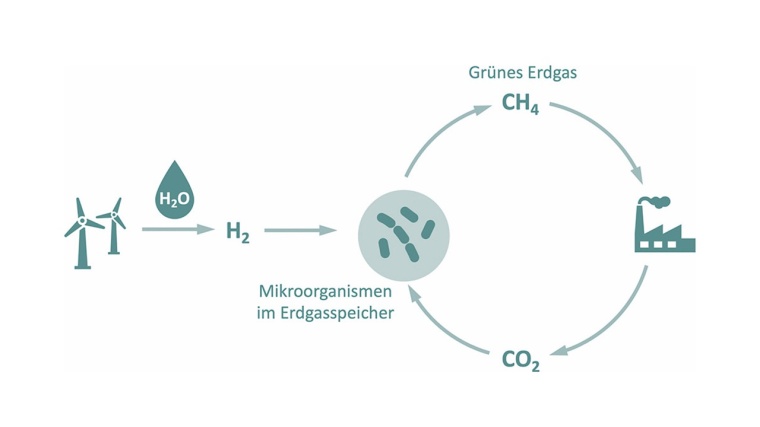 Die Mikroorganismen bilden aus Wasserstoff (H2) und Kohlenstoffdioxid (CO2)...
