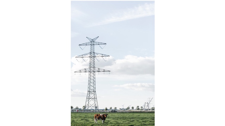 Mastbau für die Westküstenleitung in Dithmarschen (2016) © TenneT