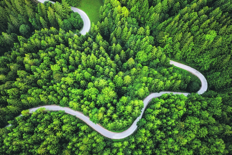 Individuell erstellte Fahrpläne, sogenannte Decarb-Roadmaps, unterstützen...