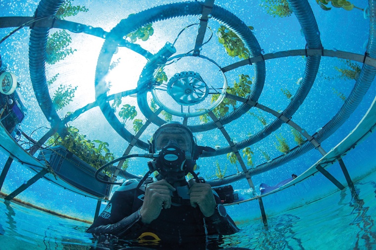 © OceanReefGroup