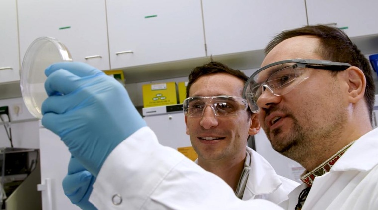 Prof. Dr. Chase Beisel und Dr. Oleg Dmytrenko. Foto: HIRI