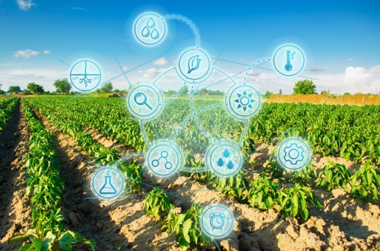 Der Umbau der Landwirtschaft zu mehr Nachhaltigkeit werde nur gelingen, wenn...