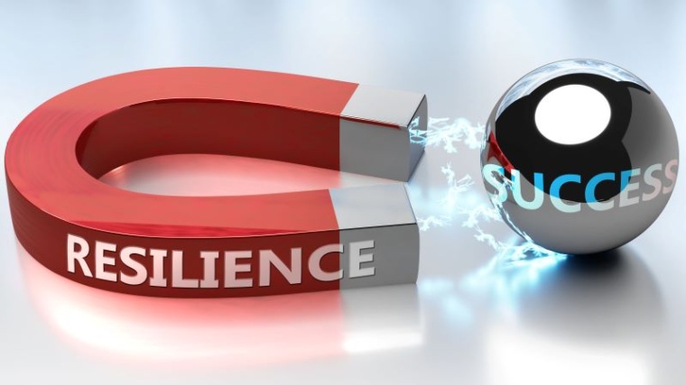 Unternehmen, die sich mit dem strategischen Thema „Risiko und Resilienz“...