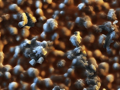 BASF’s leather matting agent Astacin Novomatt is used for coating leather...