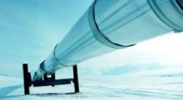 Developing shale gas has the potential to strengthen industrys competitiveness...