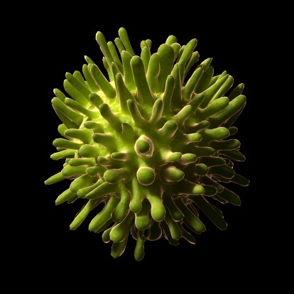 Science Photo Library RF/Getty Images