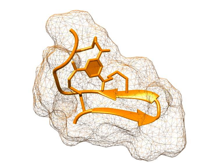 (c) Bicycle Therapeutics