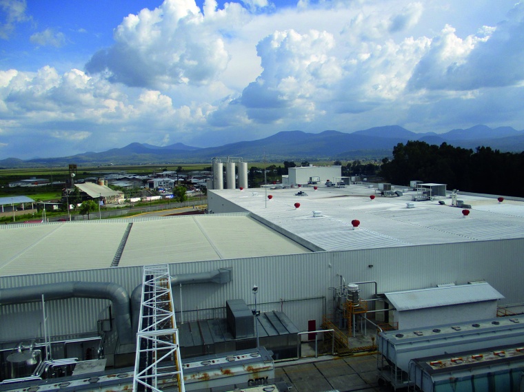 CCL Buys Treofan America for $255 Million