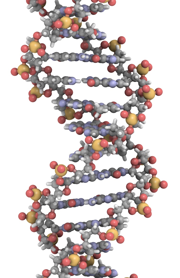 Merck KGaA Wins Chinese CRISPR Patent (c) molekuul.be/Shutterstock