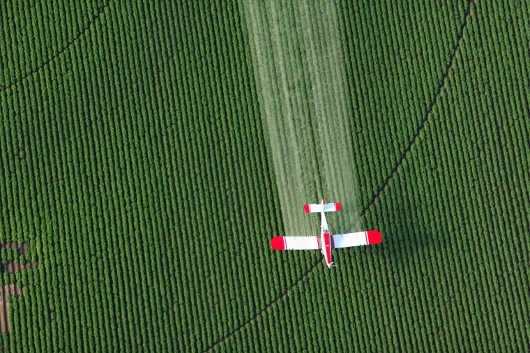 EU Upholds and Strengthens Neonic Ban (c) B Brown/Shutterstock