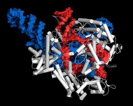 Australia grants Merck KGaA CRISPR Patent (c) Science Photo Library RF/Getty...