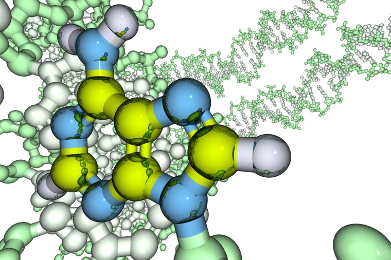 Affimed and Genentech in Immunotherapy Pact (c) Shunyu Fan