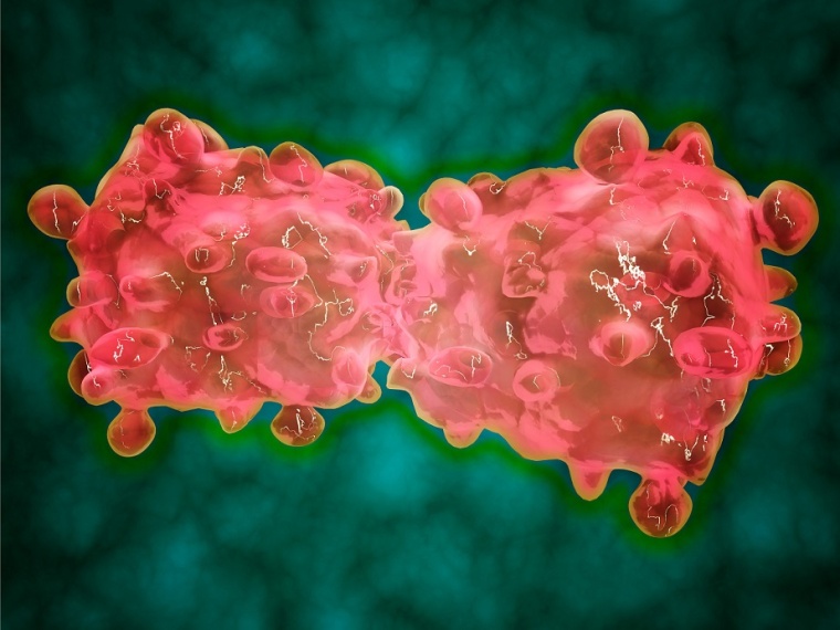 Novartis Buys US Biopharma Endocyte (c) Mark Evans/Getty Images