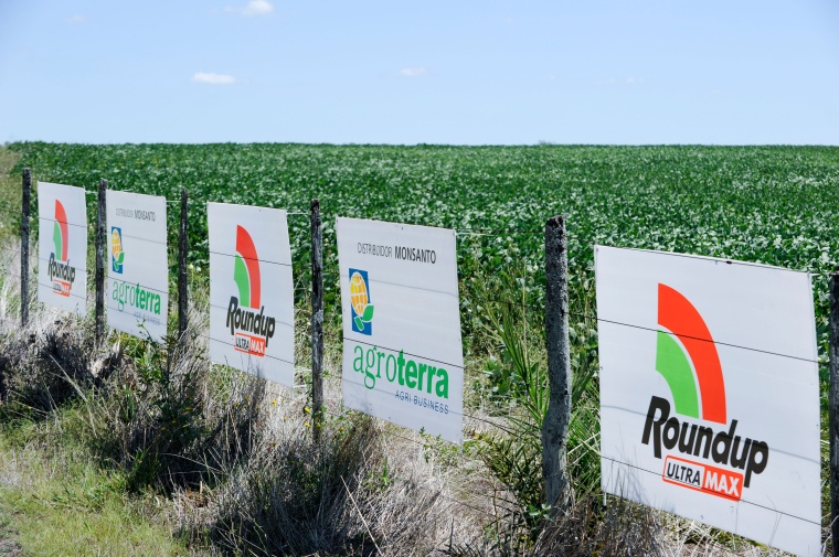 Bayer to Appeal California Roundup Verdict (c) Joerg Boethling/Alamy Stock Photo