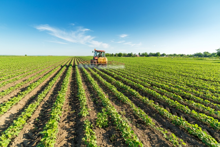New Roundup Trial Gets Controversial Start (c) oticki/Shutterstock