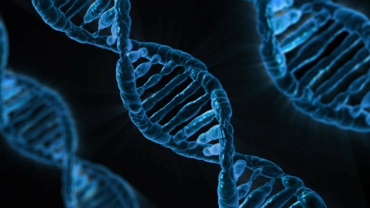Merck KGaA Wins First CRISPR Patent for US