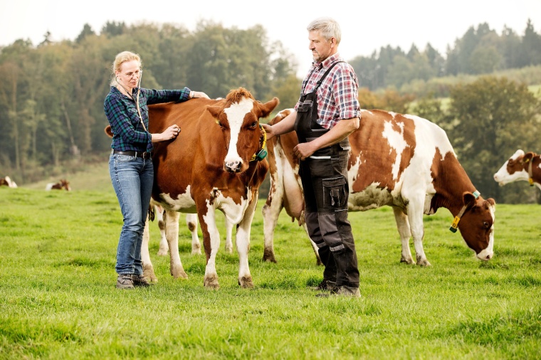 Bayer Animal Health Could Fetch €8 Billion (c) Bayer