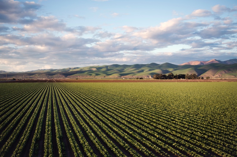 OCI and ADNOC Merge Fertilizer Operations