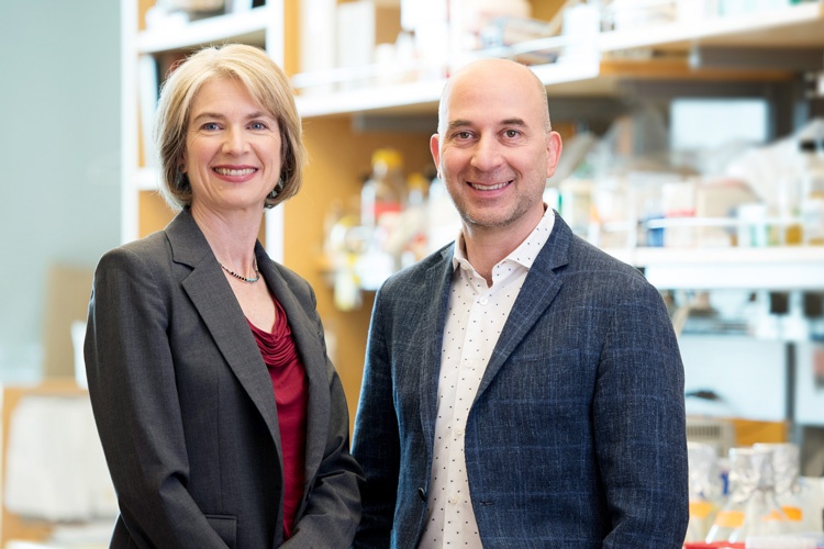 Jennifer Doudna and Jonathan Weissman are the key players in a new...