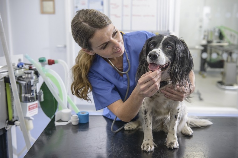 Bayer has approached Eli Lilly spinoff Elanco about a merger in animal health...