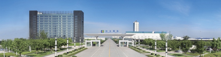 Hengli Starts PDH Plant in China (c) Hengli